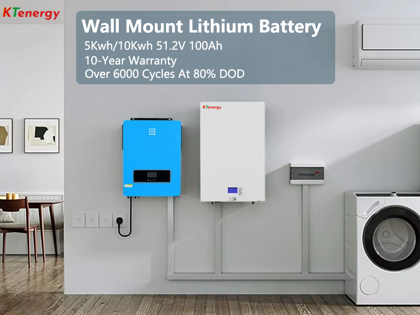 Home Energy Storage Battery Market Distribution